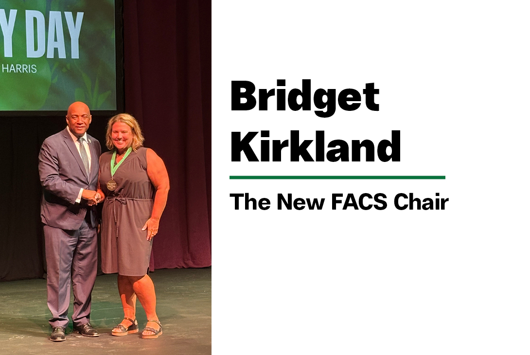 First visual arts professor to hold FACS Chair aims to increase enrollment through marketing